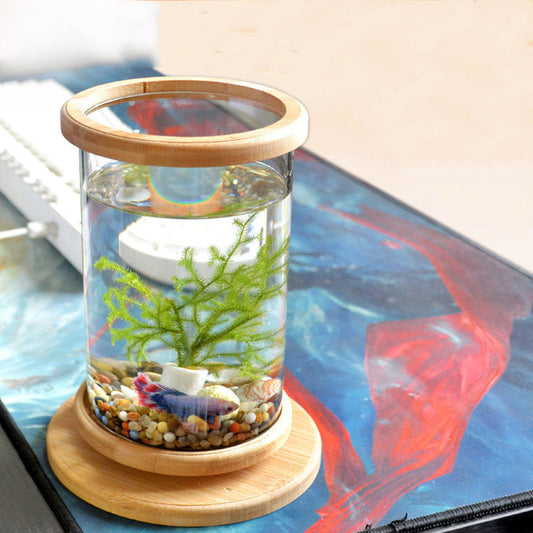 Petit Aquarium en Verre avec Base en Bambou – Décoration Mini pour Poissons