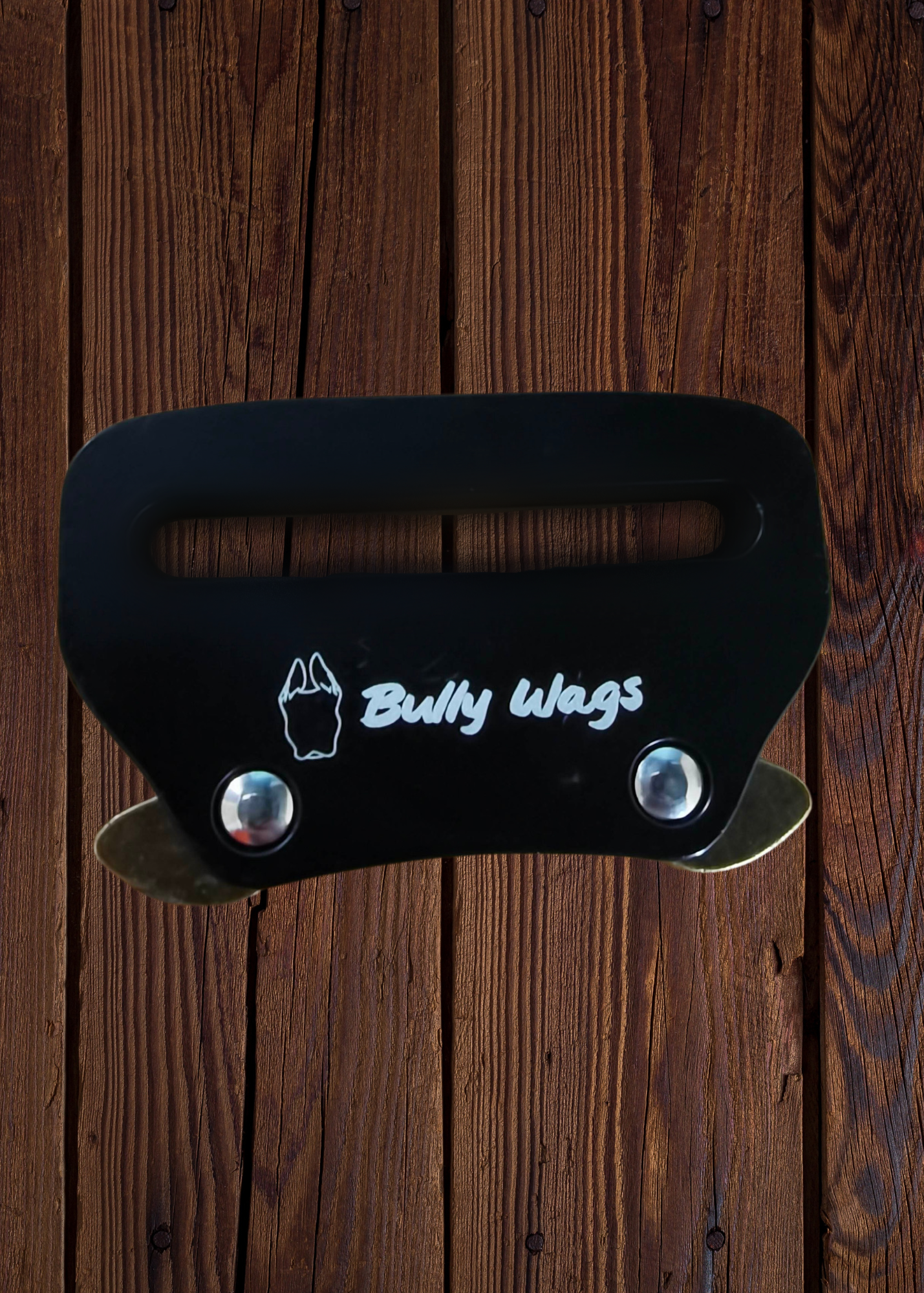Harnais Quotidien Ultra Résistant pour Chien – Noir