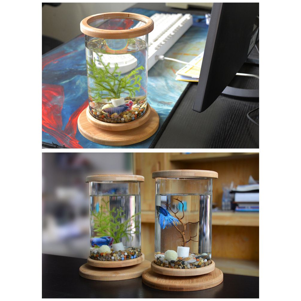 Petit Aquarium en Verre avec Base en Bambou – Décoration Mini pour Poissons