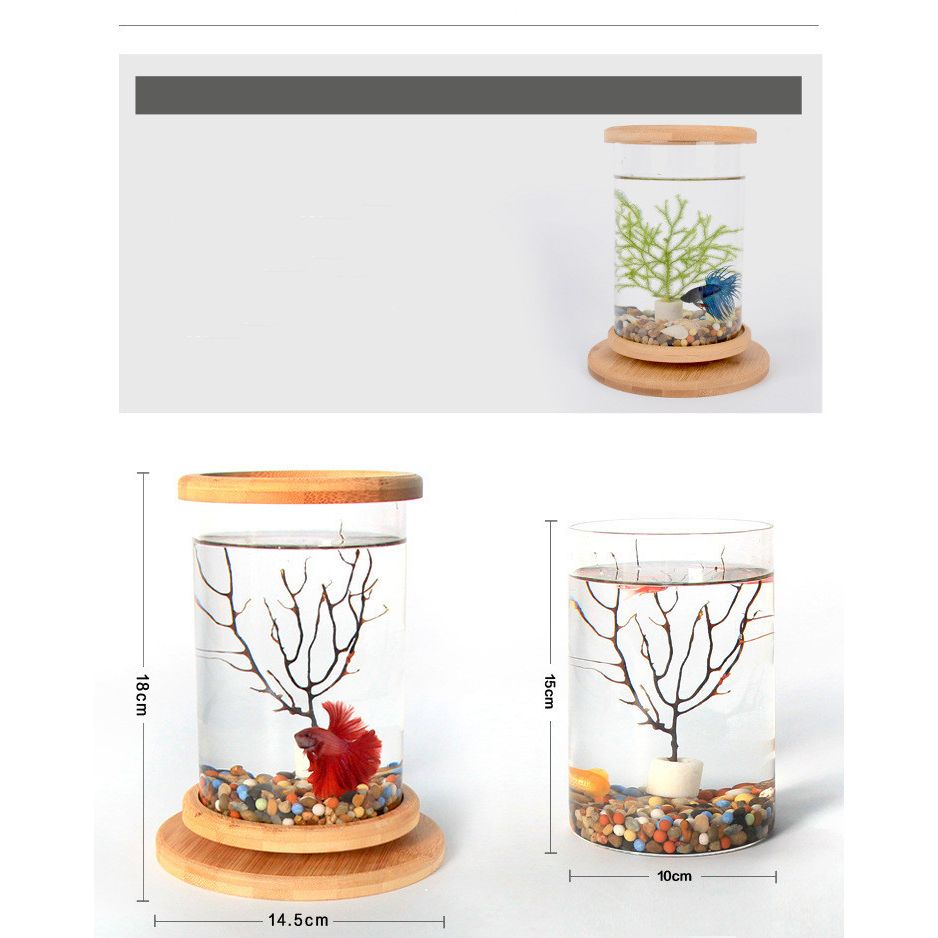 Petit Aquarium en Verre avec Base en Bambou – Décoration Mini pour Poissons