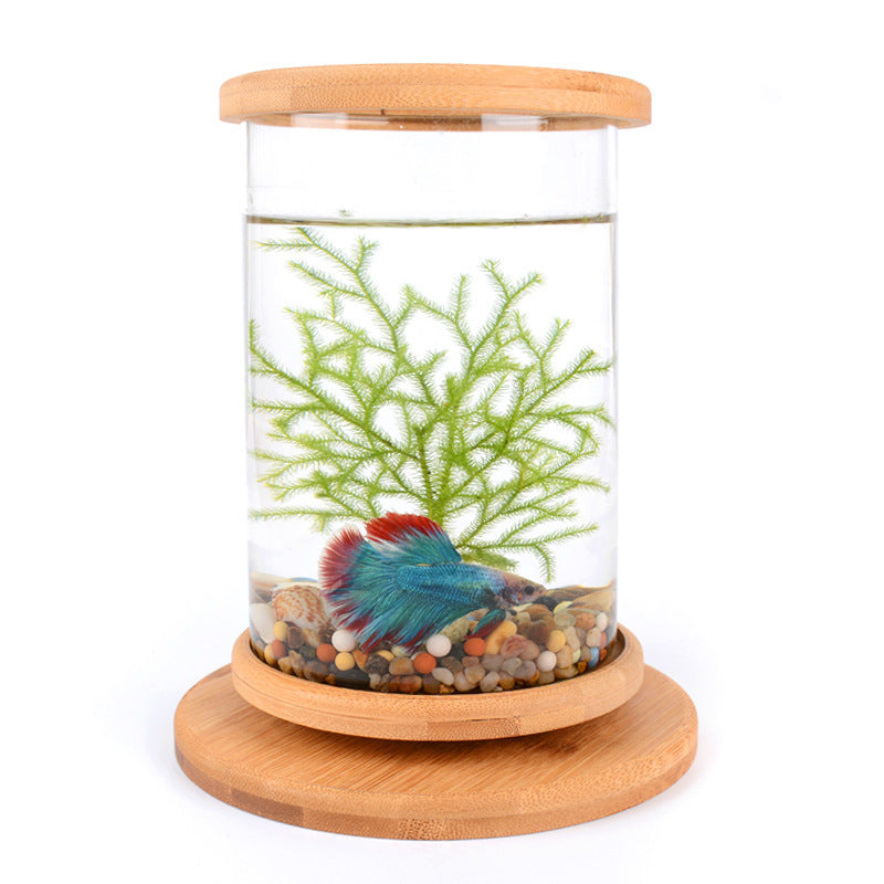 Petit Aquarium en Verre avec Base en Bambou – Décoration Mini pour Poissons
