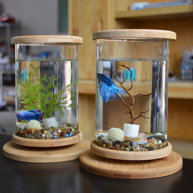 Petit Aquarium en Verre avec Base en Bambou – Décoration Mini pour Poissons