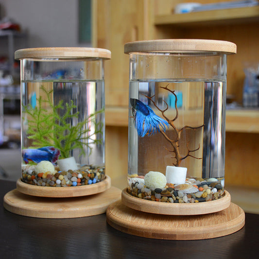 Petit Aquarium en Verre avec Base en Bambou – Décoration Mini pour Poissons
