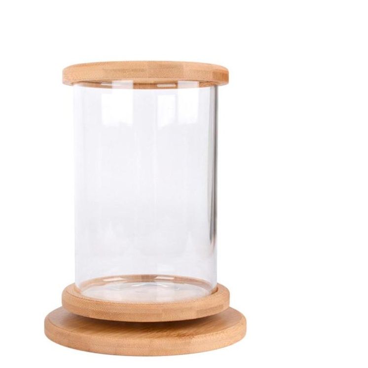 Petit Aquarium en Verre avec Base en Bambou – Décoration Mini pour Poissons