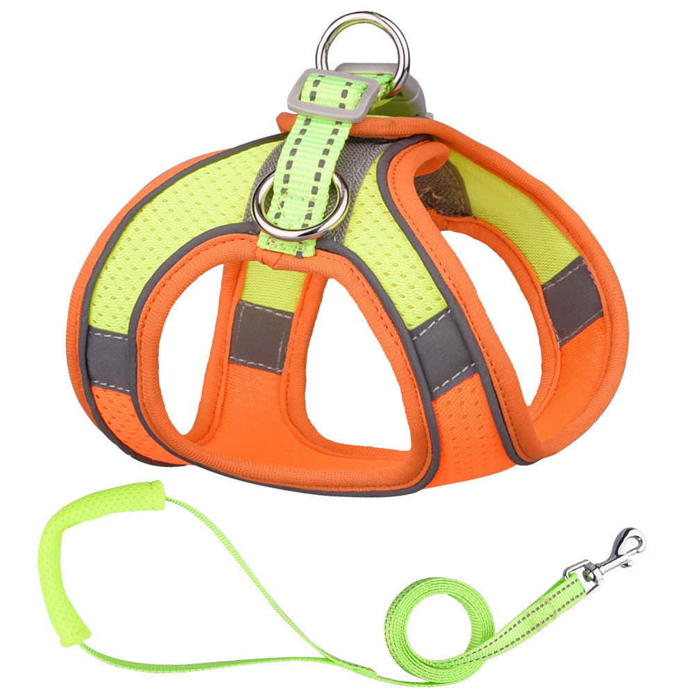 Harnais gilet réfléchissant pour chien avec laisse – Sécurité, confort et visibilité de nuit
