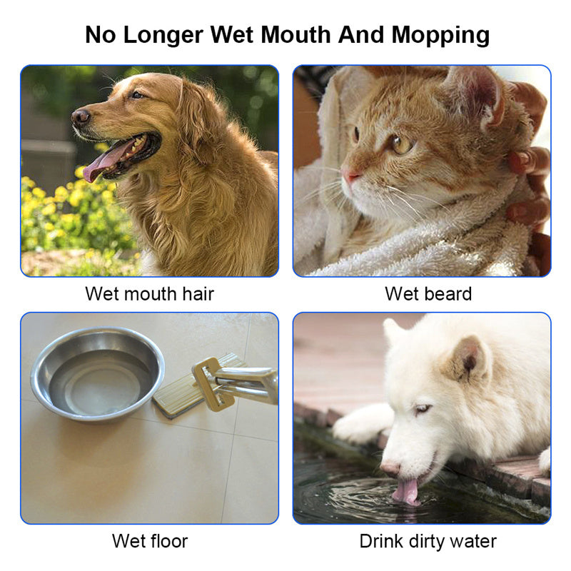 Fontaine à Eau Anti-Débordement pour Chiens et Chats – 1,5 L, ABS & PP, Bol Flottant à Débit Lent