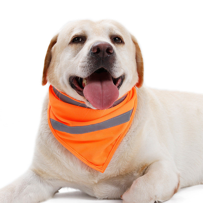 Foulard réfléchissant fluorescent de chasse – Haute visibilité pour chiens et chasseurs