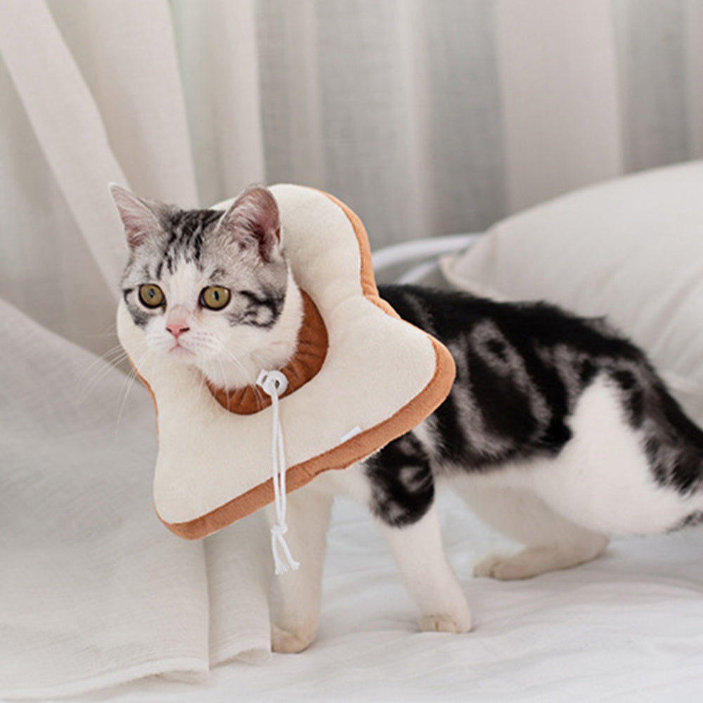 Collerette de Protection pour Chat – Anti-Léchage & Anti-Grattage