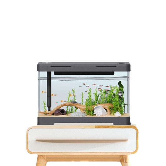 Présentoir Aquarium Acrylique 4 Générations – Design Transparent