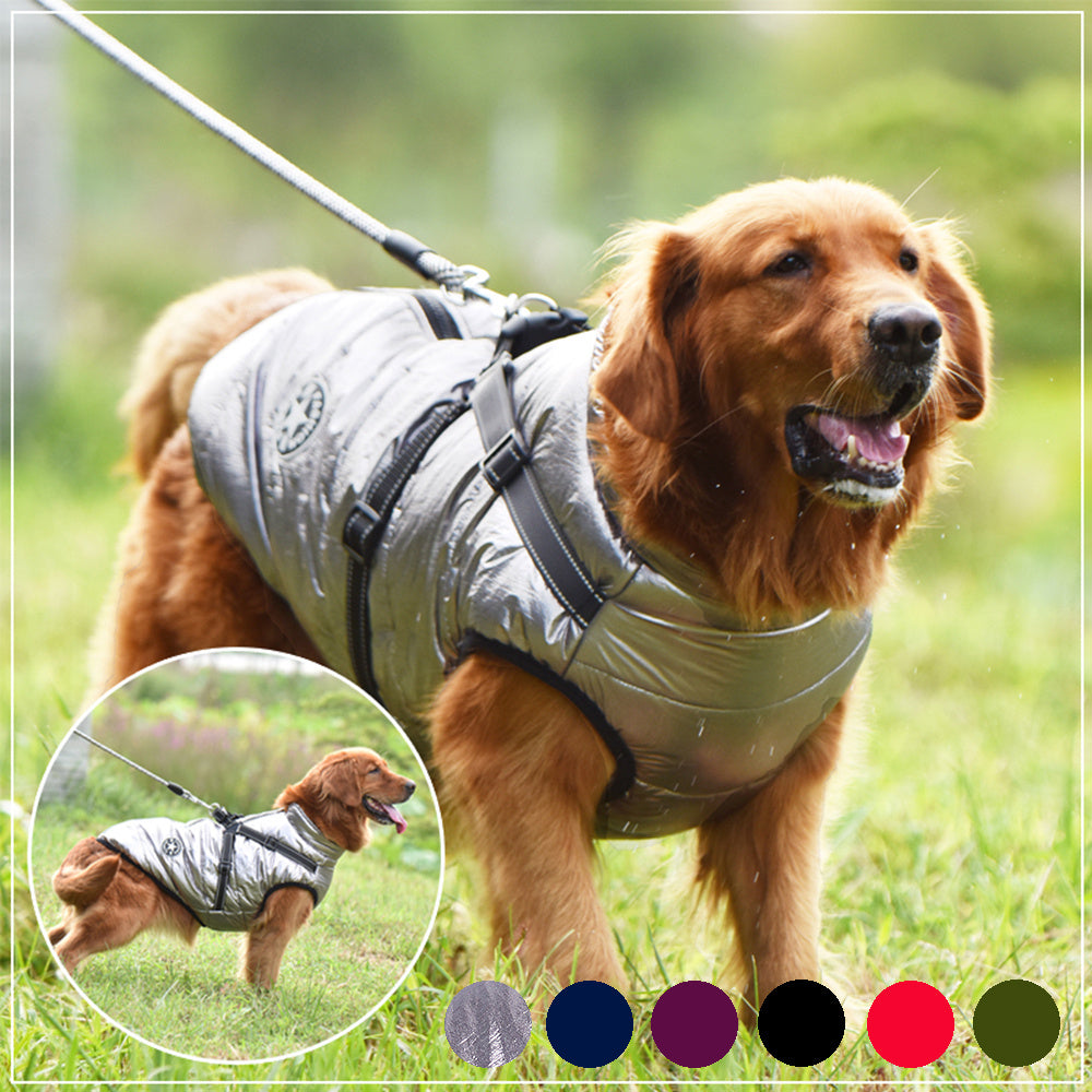 Manteau Imperméable pour Chien – Hiver, Chaud avec Harnais Intégré
