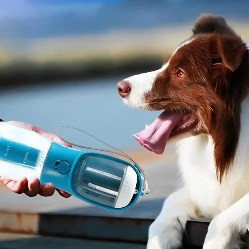 Bouteille multifonctionnel pour chien 3 en 1 (nourriture, eau, sacs a déchets)