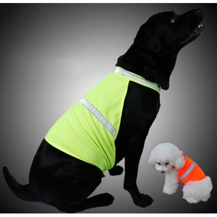 Gilet fluorescent pour chien – Idéal pour la marche et la chasse