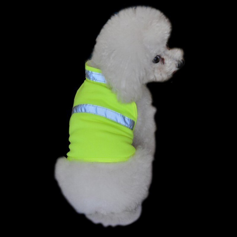 Gilet fluorescent pour chien – Idéal pour la marche et la chasse