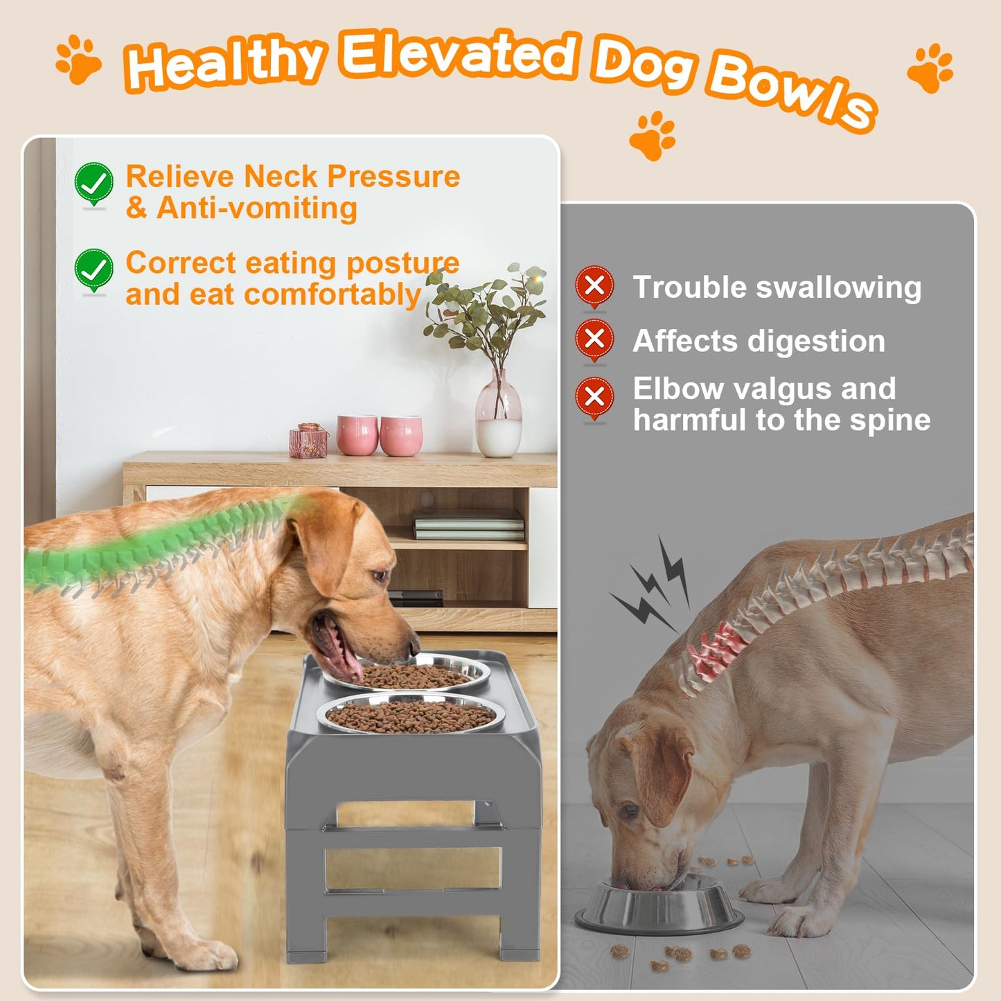 Bol Surélevé Ajustable COMESOON pour Chiens – 4 Hauteurs Réglables avec 2 Bols en Acier Inoxydable de 1,5 L (50 oz)