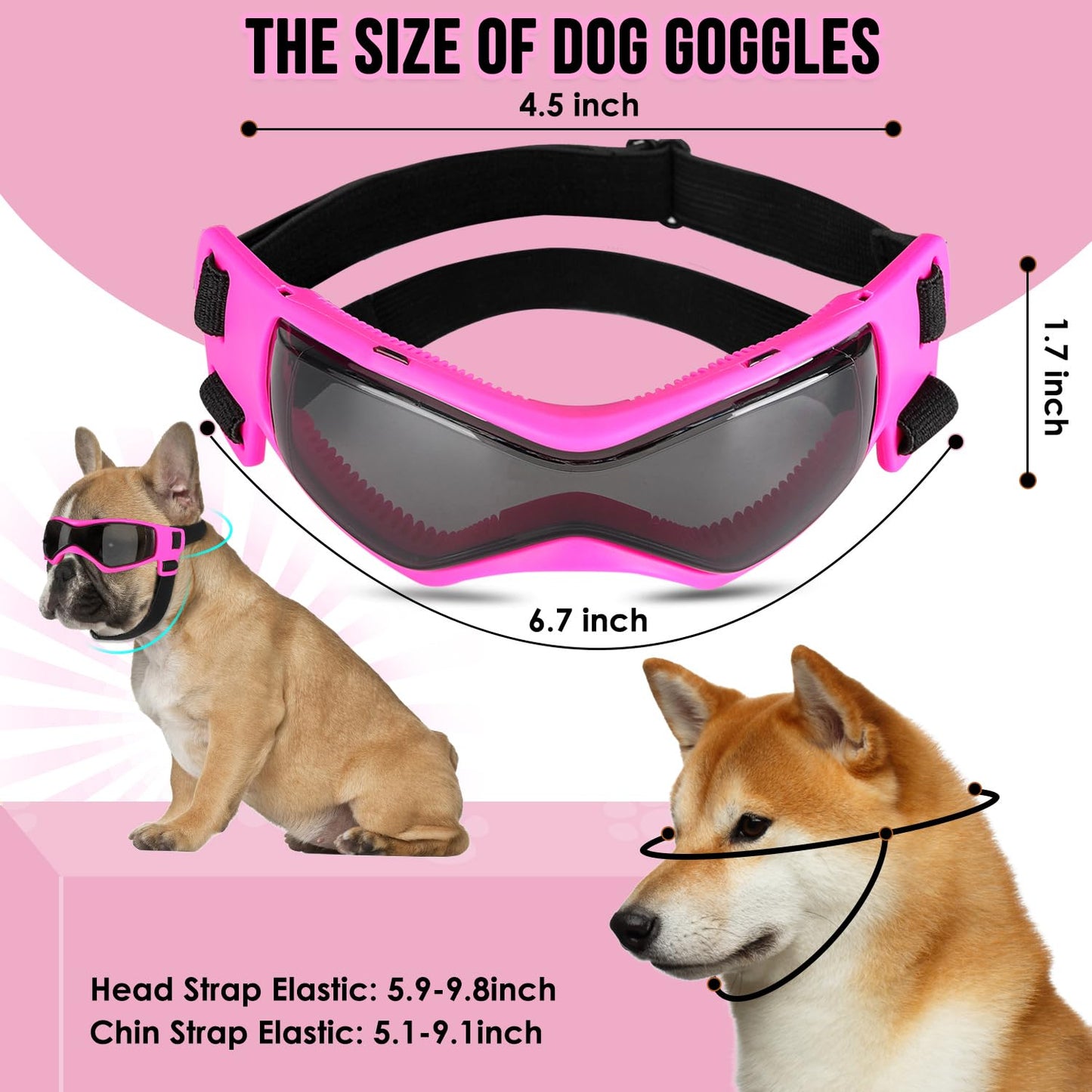 Casque et Lunettes de Protection SlowTon pour Chien – Style, Confort et Protection UV