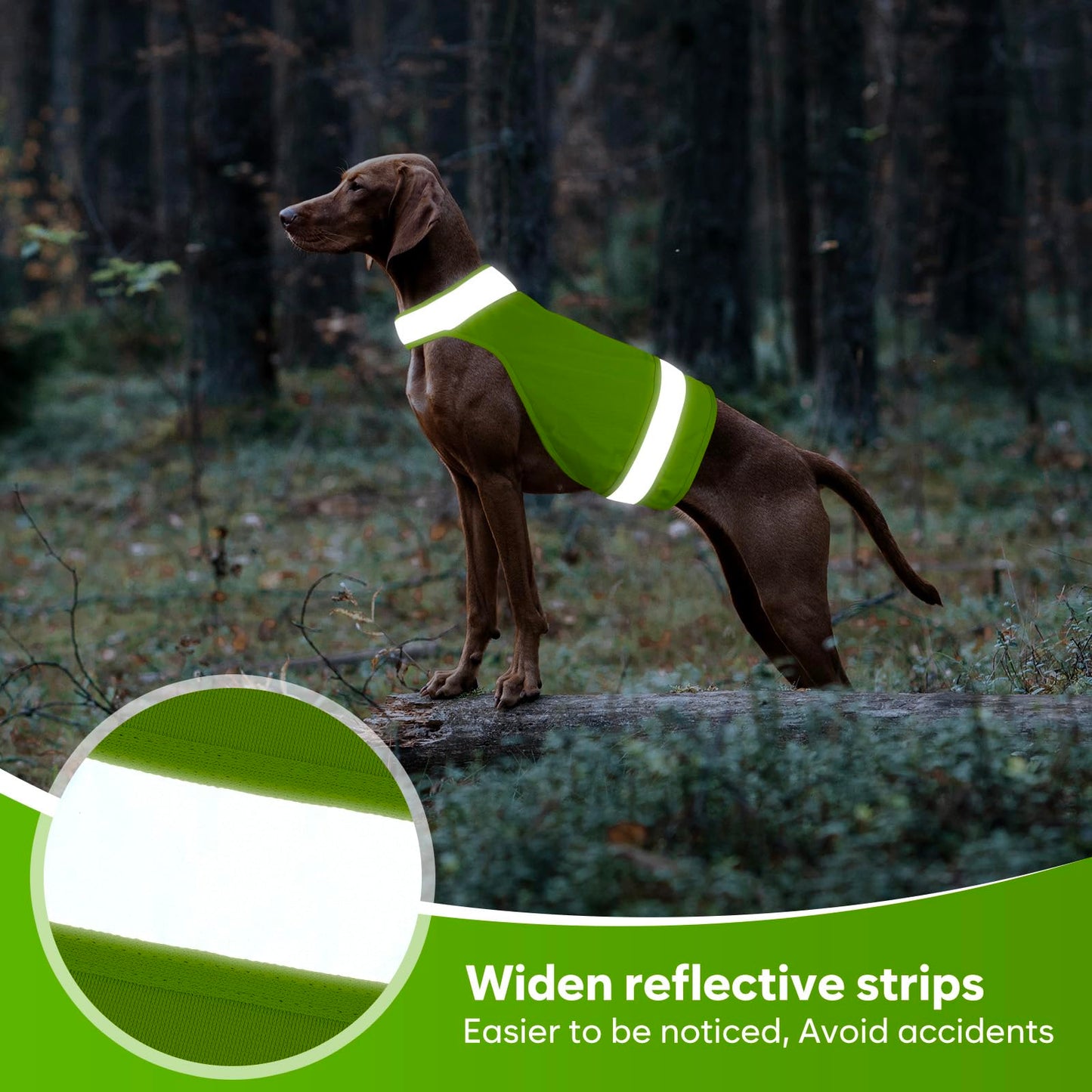 Lot de 2 Vestes de Sécurité Réfléchissantes pour Chien Ayaseen – Haute Visibilité pour Chasse, Promenade et Activités Extérieures