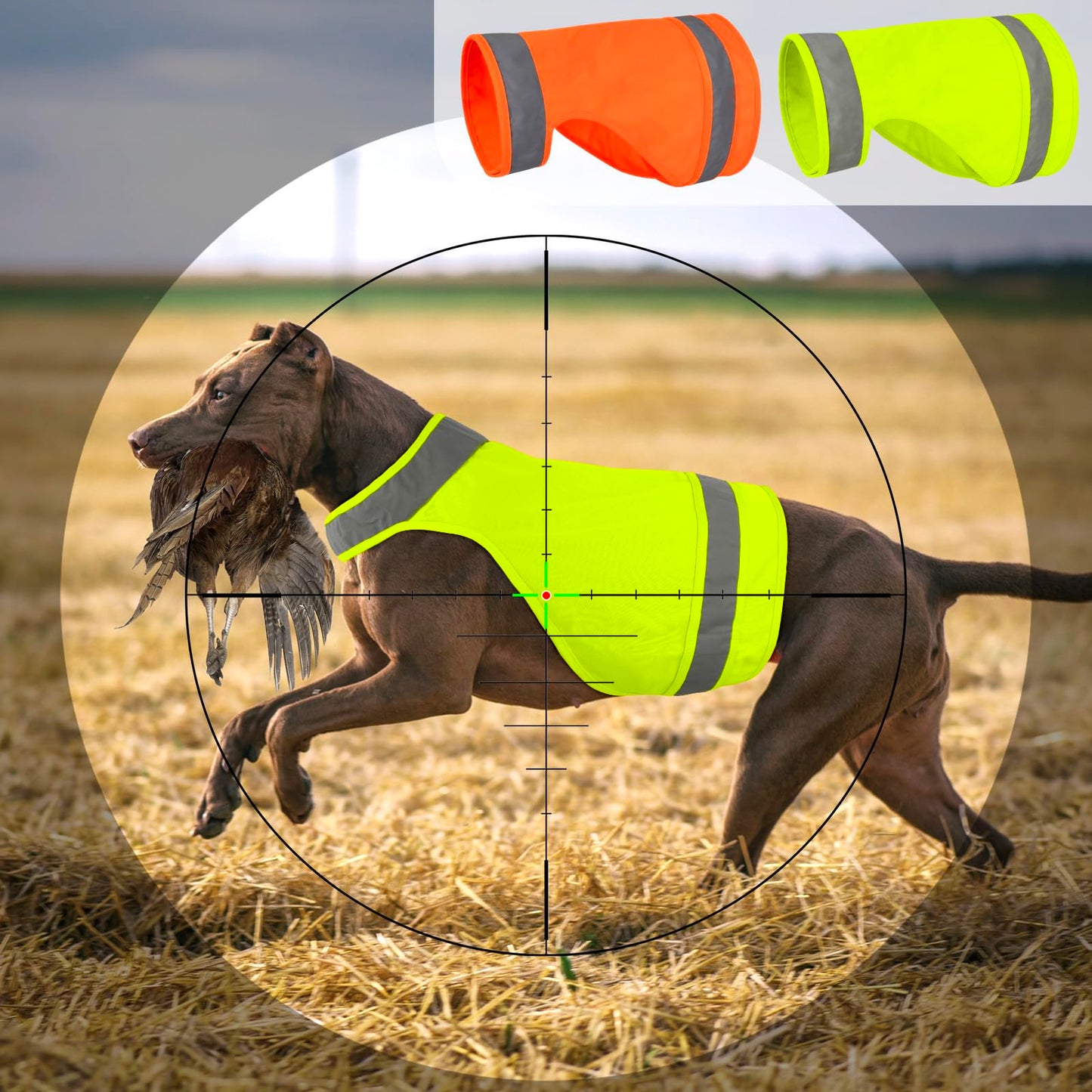 Lot de 2 Vestes de Sécurité Réfléchissantes pour Chien Ayaseen – Haute Visibilité pour Chasse, Promenade et Activités Extérieures