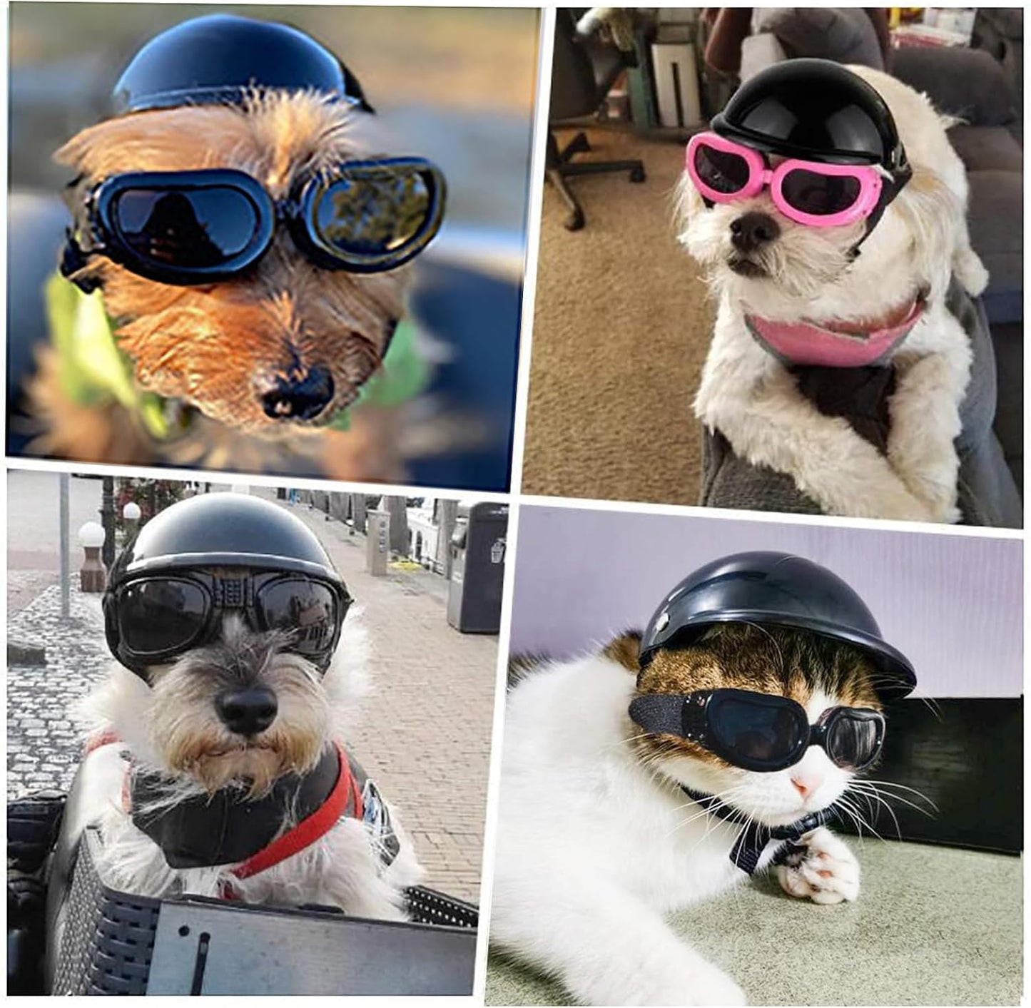 Ensemble Casque et Lunettes de Protection PACIOCEAN pour Petit Chien et Chat – Protection UV Ajustable (Taille S)