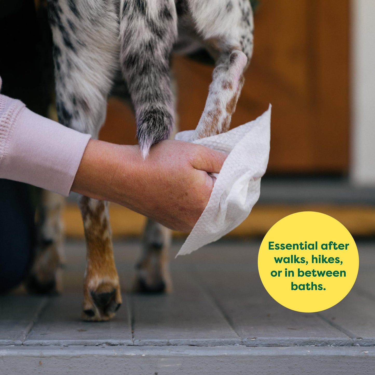 Lingettes Hypoallergéniques pour Chiens et Chats | Nettoyage Doux Sans Rinçage | Hydratantes & Pratiques