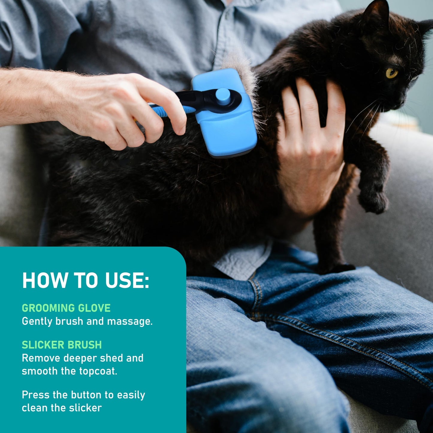 Brosse de Toilettage Maxpower Planet pour Animaux – Double Face Démêlante et Anti-Mue (Bleu, Grande Taille)