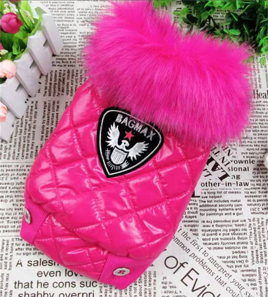 Manteau bomber pour chien avec capuchon | Veste chaude pour temps froid