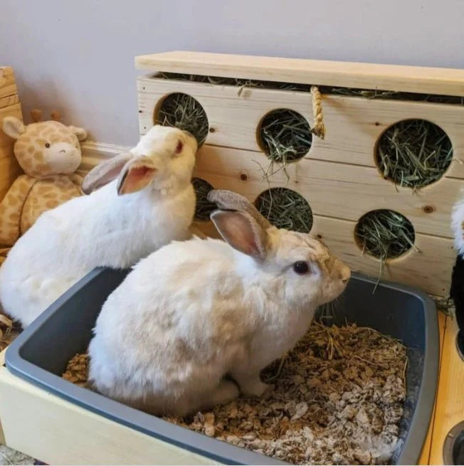 Combo mangeoire à foin 6 trous et bac à litière en bois pour lapins