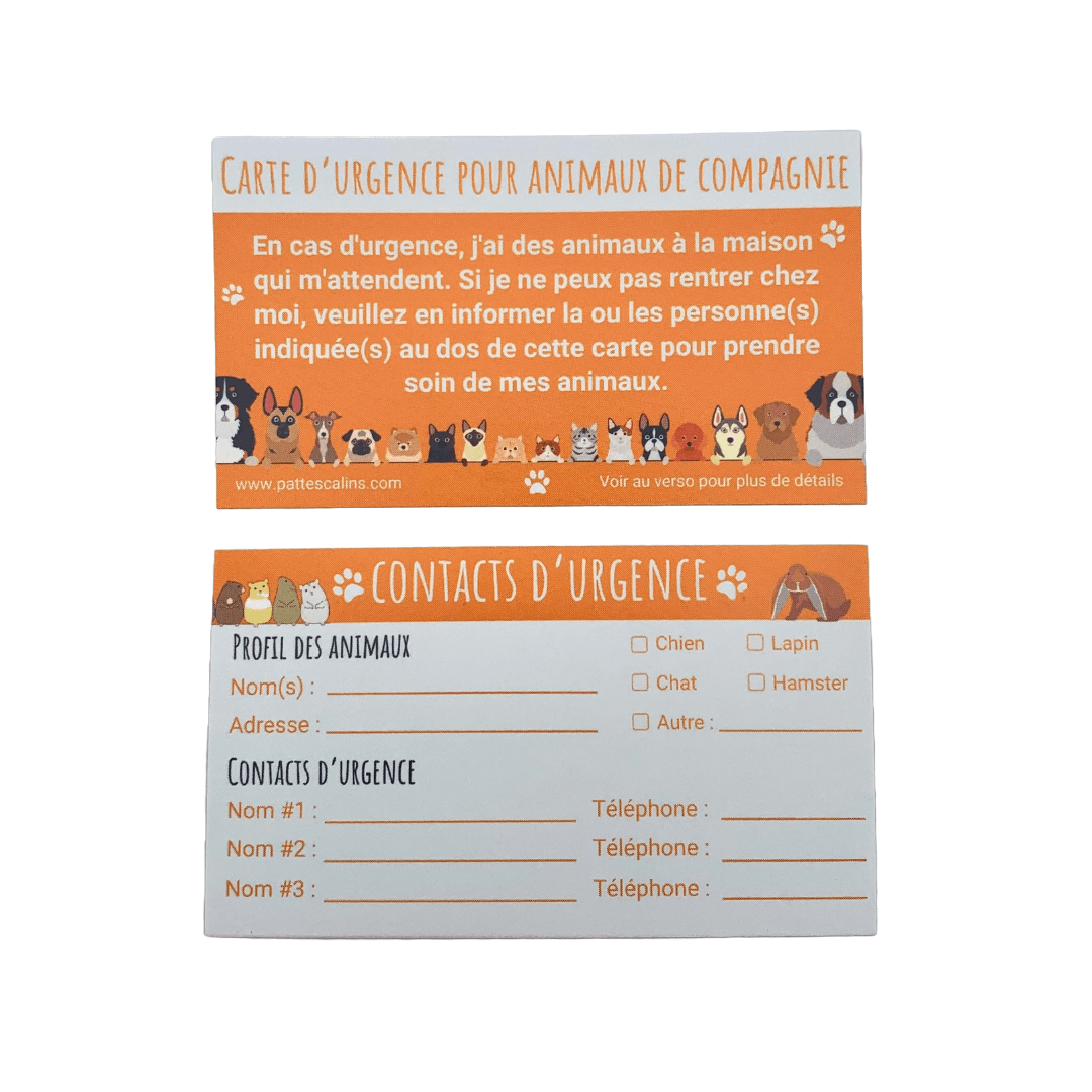 Ensemble Porte-Clés d’Urgence pour Animaux