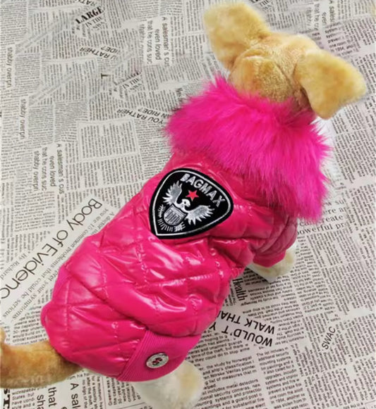 Manteau bomber pour chien avec capuchon | Veste chaude pour temps froid