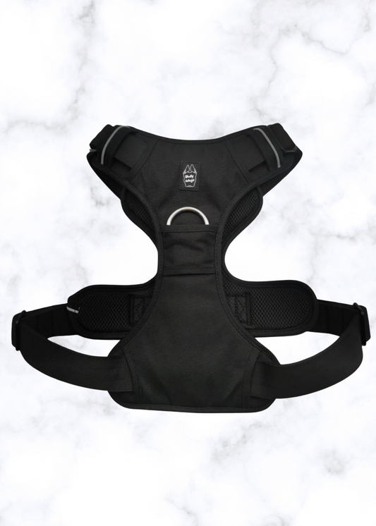 Harnais Quotidien Ultra Résistant pour Chien – Noir