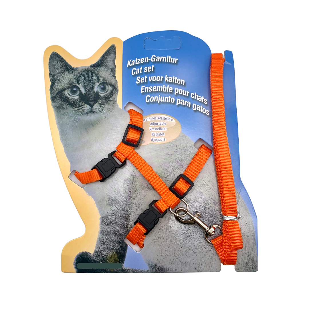 Explorez le Monde Ensemble : Ensemble Harnais + Laisse pour Chats & Lapins