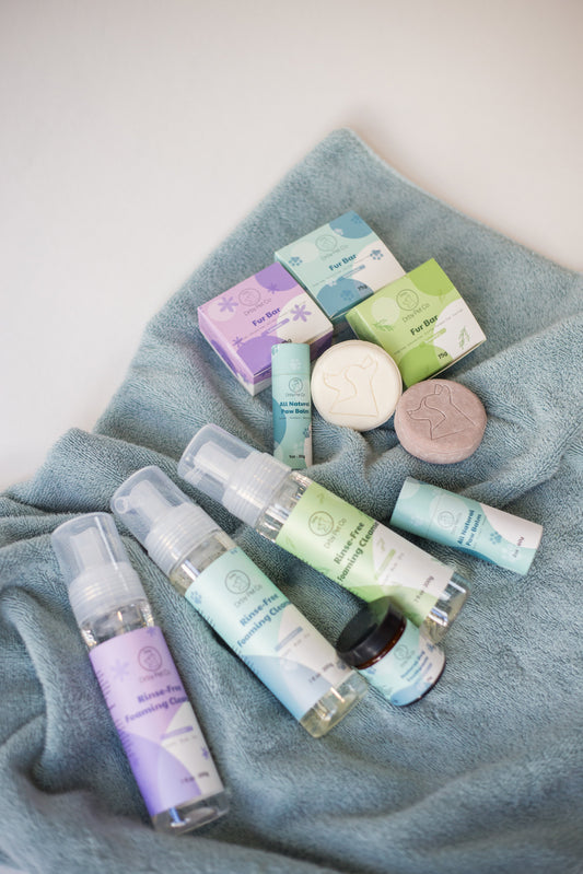 Mousse Nettoyante Sans Rinçage pour Animaux – Nettoyage Rapide & Naturel