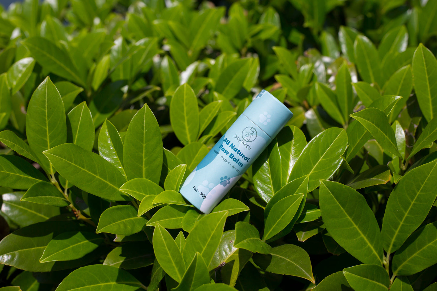 Baume Naturel pour Coussinets – Hydratation & Protection 100% Naturelle