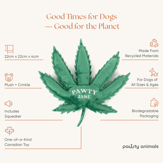 Jouet pour Chien « Pawty Jane » – Peluche Crépîtante & Couineur | Jouet Canadien Écolo Inspiré Snoop
