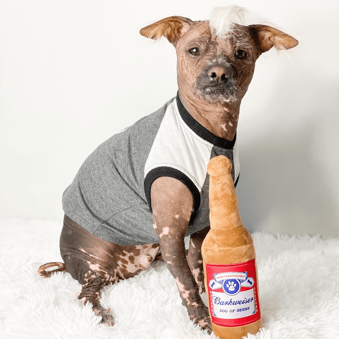 Jouet pour Chien « Barkweiser » – Peluche Bière avec Couineur | Jouet Canadien Écolo