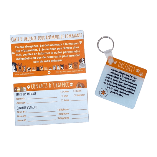 Ensemble Porte-Clés d’Urgence pour Animaux