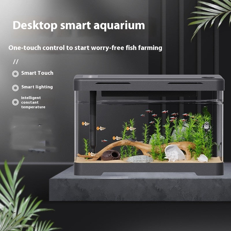 Présentoir Aquarium Acrylique 4 Générations – Design Transparent