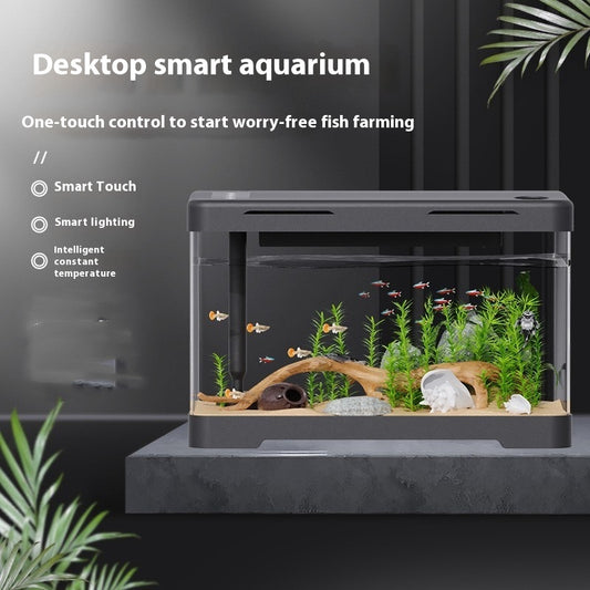 Présentoir Aquarium Acrylique 4 Générations – Design Transparent