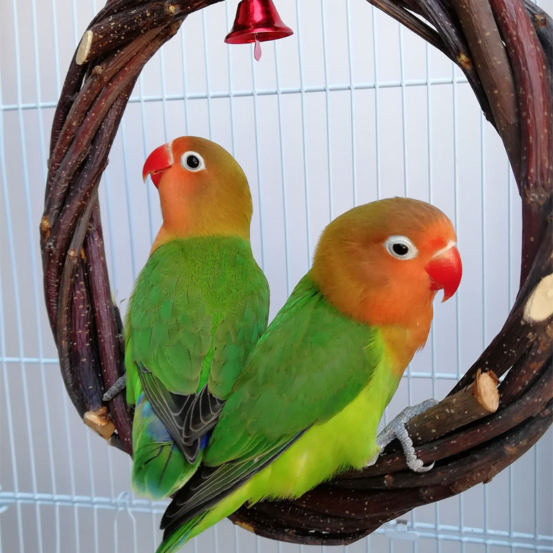 Anneau tressé en bois de pommier pour oiseaux – Jouet suspendu naturel à mâcher et perchoir décoratif